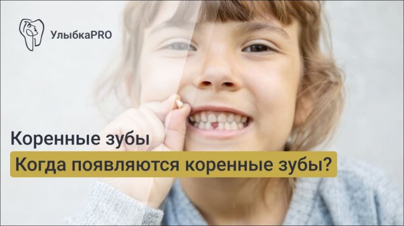 Когда у ребенка появляются коренные зубы