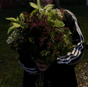 диана